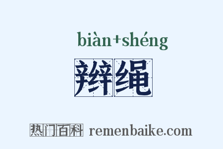 辫绳是什么意思的图片